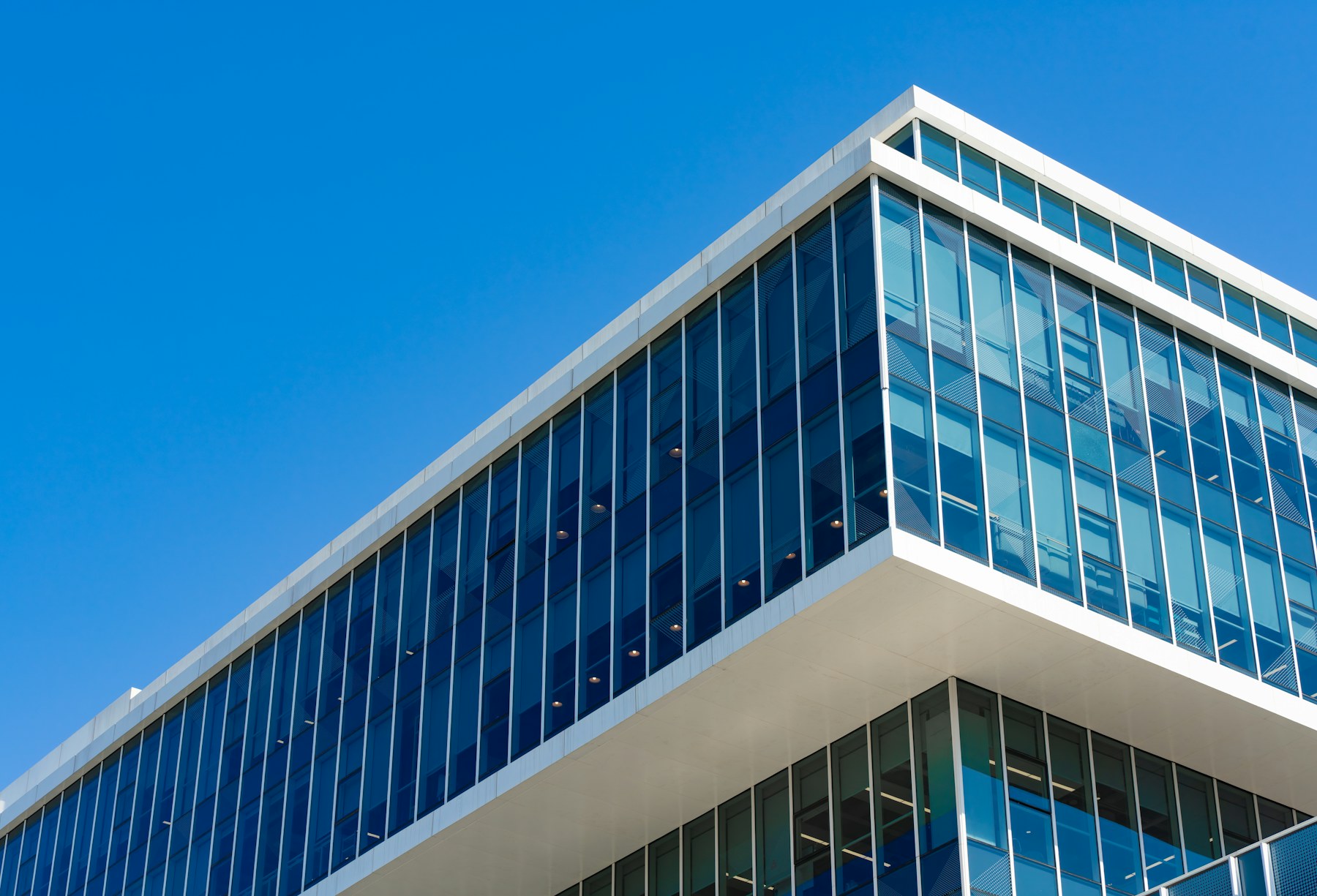 現代的なテクノロジー企業を象徴する建築